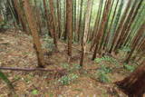 筑前 三日月山城砦群Hの写真