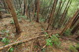 筑前 三日月山城砦群Hの写真