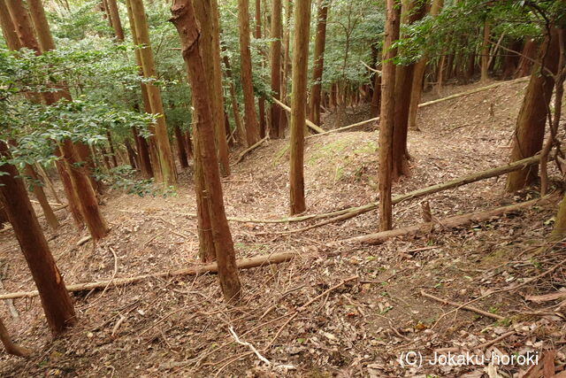 筑前 宮永城の写真