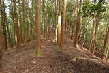 筑前 宮永城の写真