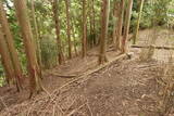 筑前 宮永城の写真