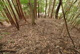 筑前 宮永城の写真
