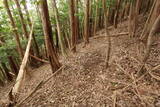 筑前 宮永城の写真