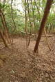 筑前 宮永城の写真
