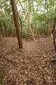 筑前 宮永城の写真