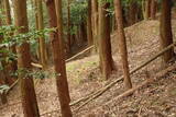 筑前 宮永城の写真