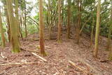 筑前 宮永城の写真
