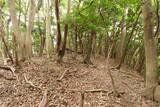 筑前 宮永城の写真