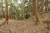 筑前 宮永城の写真