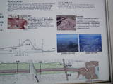 筑前 水城の写真