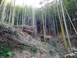 筑前 名残城の写真