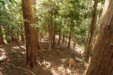 筑前 米多比城の写真