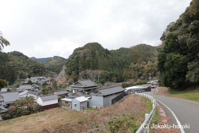 筑前 大穂城の写真