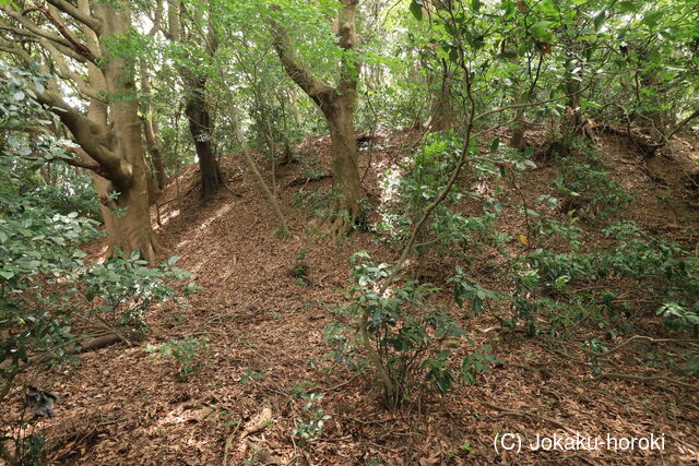 筑前 茶臼山城(大蔵)の写真