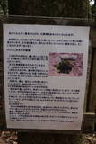 筑前 大野城の写真