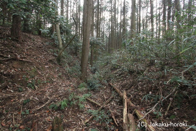 筑前 尾園本城の写真