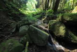 筑前 雷山神籠石の写真