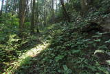 筑前 雷山神籠石の写真