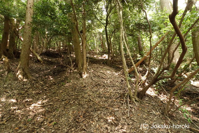 筑前 龍ヶ岳城の写真