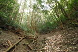 筑前 龍ヶ岳城の写真