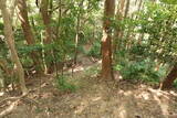 筑前 龍ヶ岳城の写真