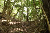 筑前 龍ヶ岳城の写真