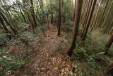 筑前 龍ヶ岳城の写真
