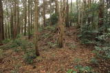 筑前 龍ヶ岳城の写真