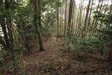 筑前 龍ヶ岳城の写真