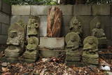 筑前 龍ヶ岳城の写真