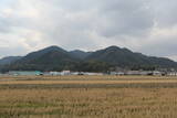 筑前 龍ヶ岳城の写真