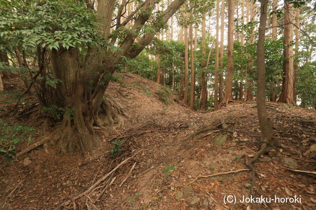 筑前 龍昌寺山城の写真