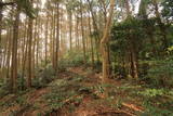 筑前 龍昌寺山城の写真