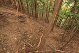 筑前 龍昌寺山城の写真