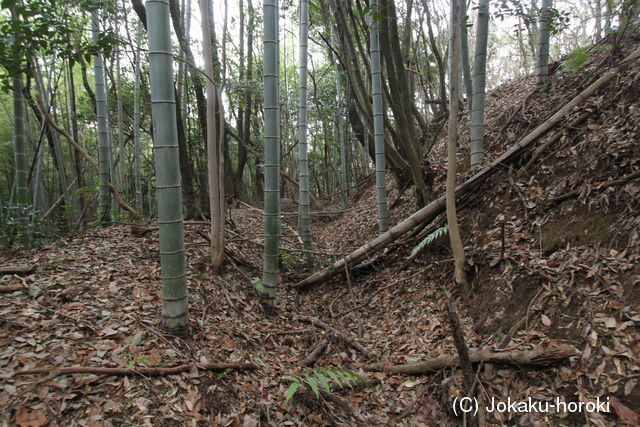 筑前 新城山城の写真