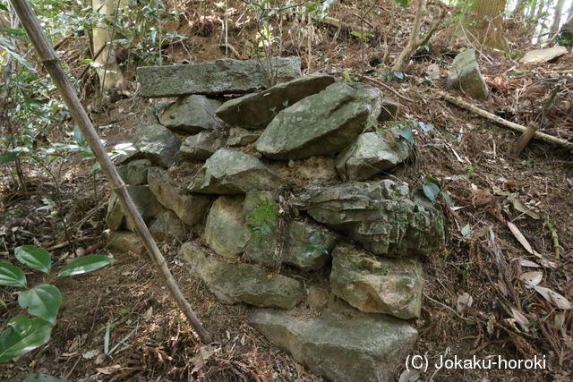 筑前 立花山城(秋山谷南尾根)の写真