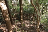 筑前 立花山城(松尾山)の写真