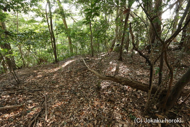 筑前 立花山城(南尾根遺構)の写真