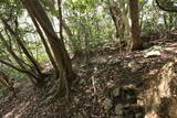 筑前 立花山城(南尾根遺構)の写真