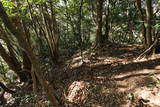 筑前 立花山城(南尾根遺構)の写真