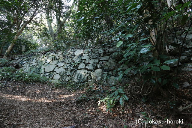 筑前 立花山城(イバノヲ・大タヲ)の写真