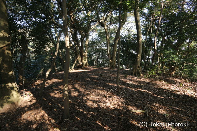 筑前 立花山城(小一足)の写真