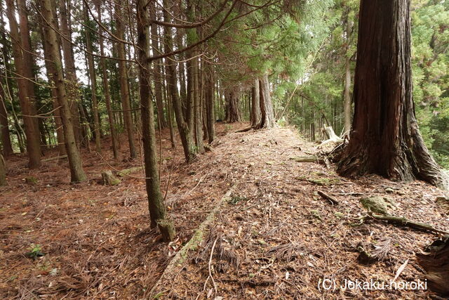 筑前 高鼻城の写真