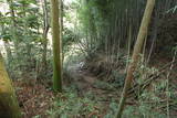 筑前 高石山城東砦の写真