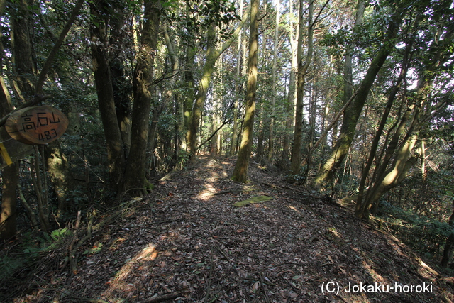 筑前 高石山城の写真