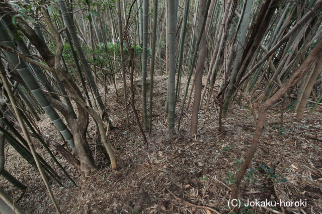 筑前 高の山城の写真