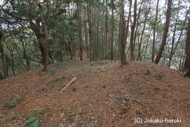 筑前 高尾山城の写真