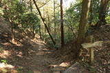 筑前 高鳥居城の写真