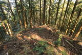 筑前 高鳥居城の写真