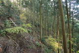 筑前 高鳥居城の写真